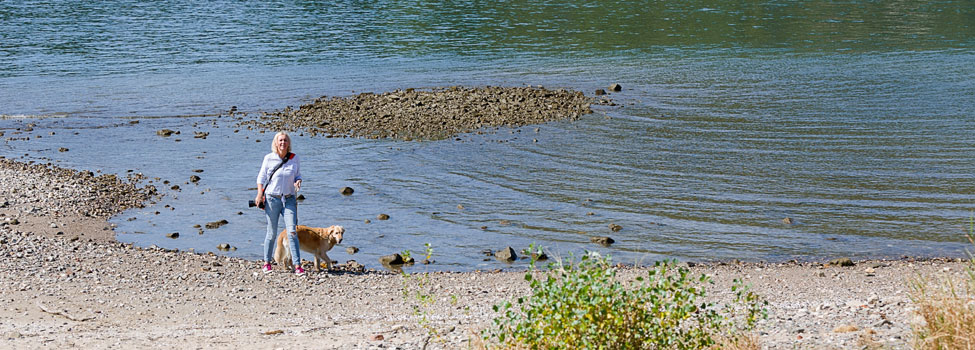 Frau mit Hund am Rheinufer