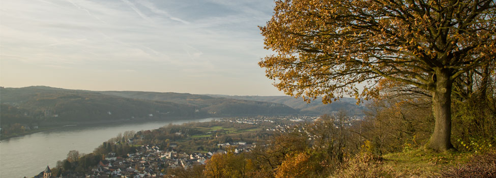 Blick von der Erpeler Ley Richtung Unkel