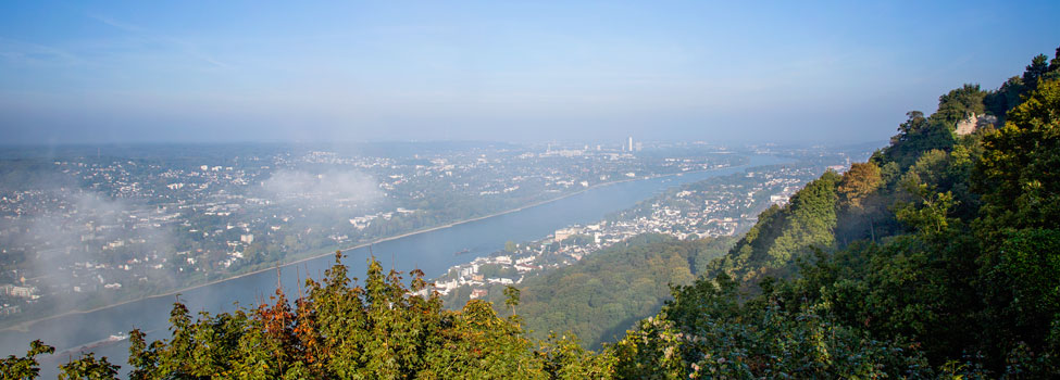 Bonn vom Drachenfels aus gesehen