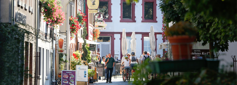 Die Frankfurter Straße im Sommer, im Hintergrund die Löwenburg