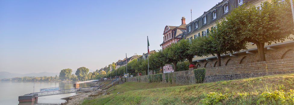Rheinpromenade im Morgennebel
