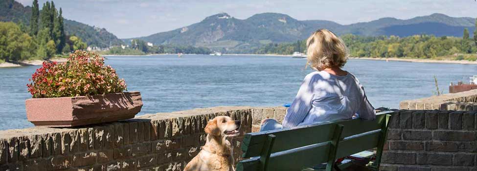 Frau genießt den Blick Richtung Drachenfels