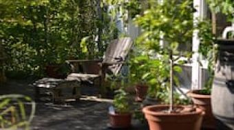 Ferienwohnung Profitlich