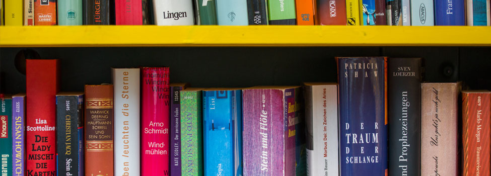 2 Bücherreihen, getrennt durch gelbes Regalbrett