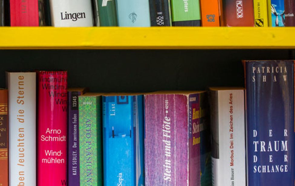 2 Bücherreihen, getrennt durch gelbes Regalbrett