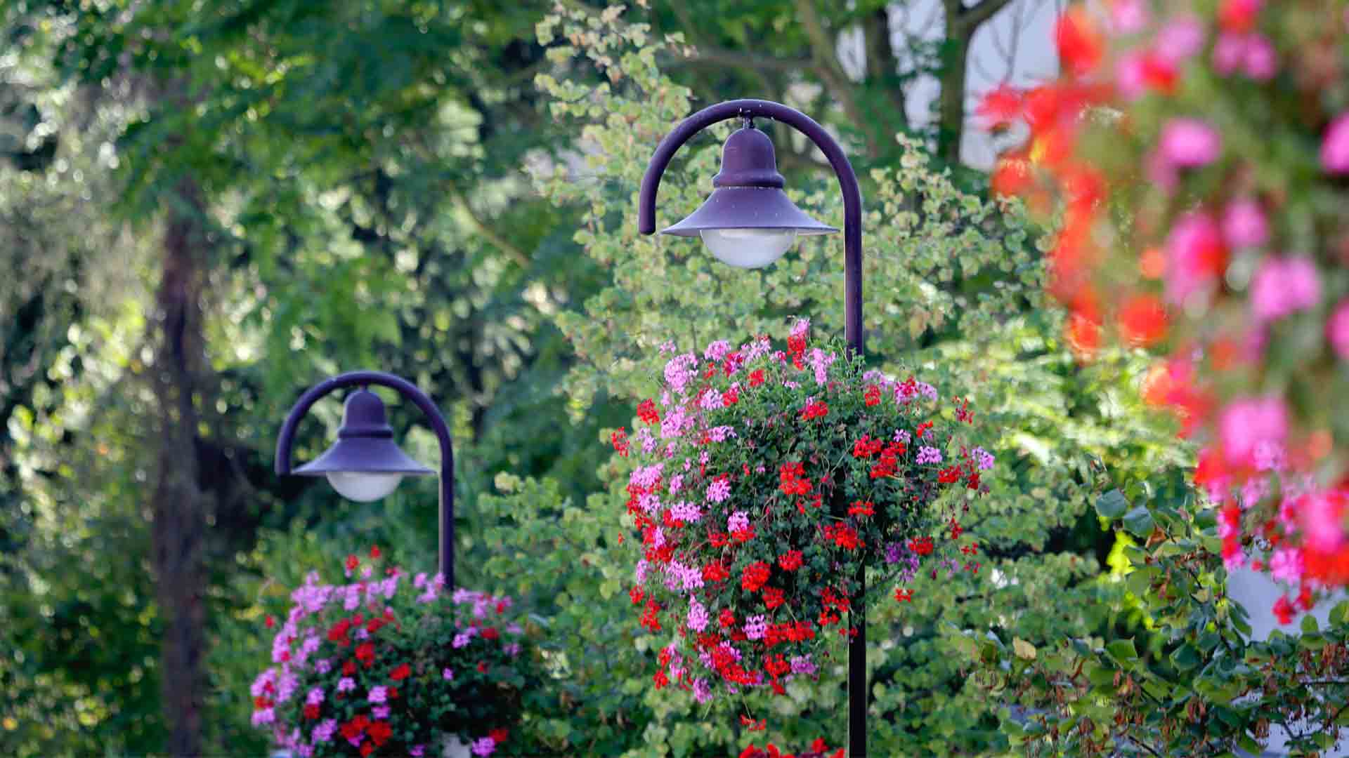 Blumenschmuck