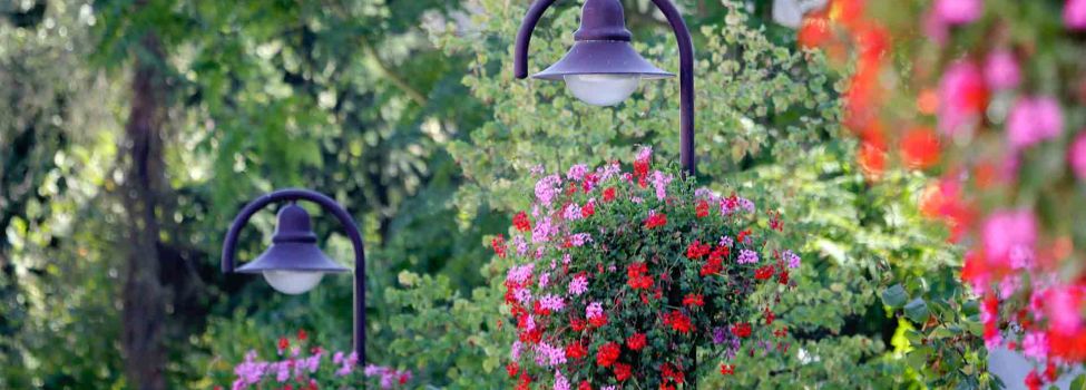 Blumenschmuck